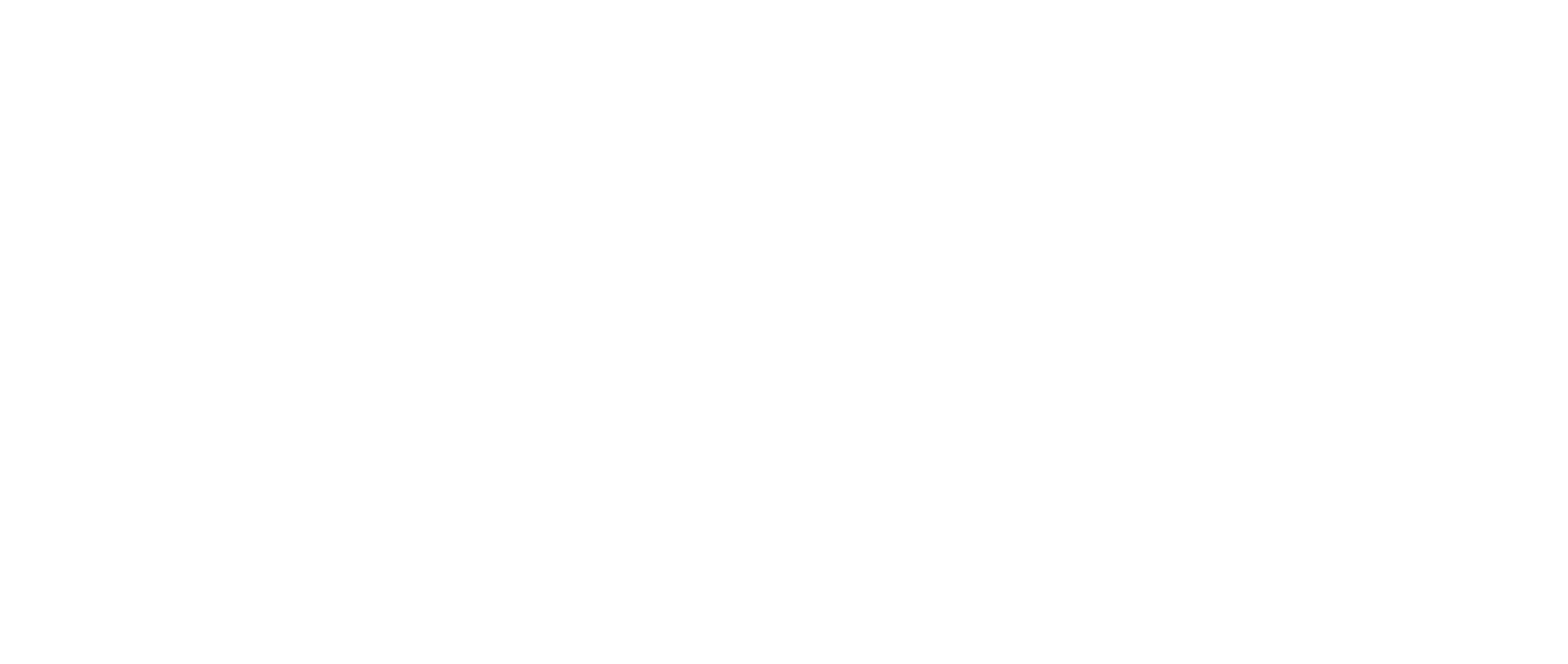 Regine Fix - Virtuelle Assistentin